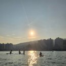광안리 패들보트 추천 일몰 노을 SUP 크레이지 서퍼스 후기 내돈내산