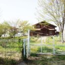 통나무향기 이미지