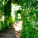 보라지구 입구 삼거리 이미지