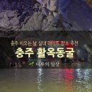 동굴로 | 비오는날 실내 여행지 추천 / 충주 활옥동굴 나들이 후기