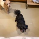 밍글몽글 이미지