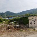 손죽민박 Daum카페