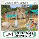 대구 근교 가볼만한곳 구미 동물원 쥬쥬동산 입장료 할인 방법 및 후기