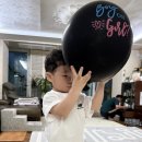 꿈꾸는 풍선 | [임신] 임신 15주 16주 서프라이즈 성별공개 젠더리빌/태몽꾸는시기, 태몽꿈 기록