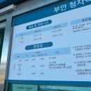 곰소물회 | 전북 부안 당일치기 여행 후기(곰소물회, 슬지제빵소, 모항갯벌해수욕장, 채석강, 부안청자박물관)