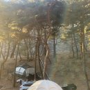 한반도솔숲쉼터 이미지