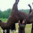 인피니티짐 이미지