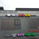 두리애견용품 이미지