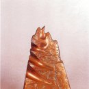 자연을향한대화 Daum카페