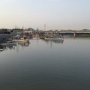 다포수산 | 소래포구횟집:)서천수산에서 대게먹방찍기(서비스대박, 회로 배터져본날)