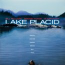 플래시드인 이미지