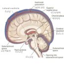 운동케어센터 이미지