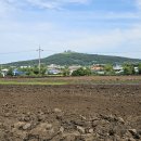 상모리-13 이미지