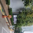 쌍용아파트 건너편 | [오금역,송파역] '가락쌍용2차아파트' 임장 후기