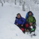 사라 - 금정구 금정로68번길 12-18 | 사라