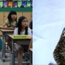 신평1동-14 이미지