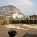 사계 아올 이미지