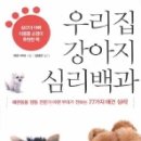 못된강아지 이미지