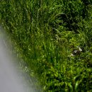 석대천로 이미지