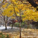 원주두리캠핑장 이미지