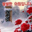 코리아스넥 이미지