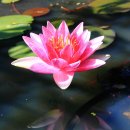 자연누리 이미지