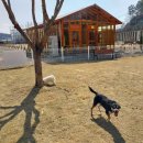 [수성구청] 생각을 담는 정원 이미지