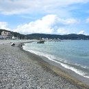 바다소풍 | 울산 애견 동반 펜션 수영장 있는 바다 소풍 애견 펜션