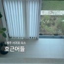 돈내코온수풀빌라(나동) | 서귀포 독채 펜션 풀빌라, 호근머들
