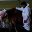 충주축협동물병원 이미지