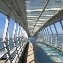 대청화 | [영종도] 대청화 중국집/ 삼선짬뽕, 삼선 볶음밥 / 내 돈 내산 솔직 후기