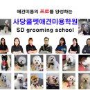 잇츠그루밍타임 이미지