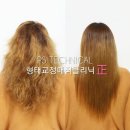 티나 헤어 이미지