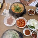 배곧도서관 | 배곧 순대국 달인사골순대 배곧도서관점 순댓국 맛집 방문 후기