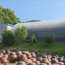 쌍향수길 이미지