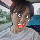 무너진 내게 불빛이 되어준 나상현씨밴드 클럽투어 &#39;여름빛 2023&#39;-부산 공연을 위한 어떤 하루 1편