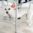 소답동237 이미지