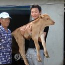 야산마을진입로 이미지