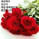 전주중고피아노사 이미지
