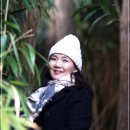 남당항(선착장) 이미지