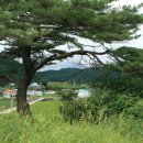 화천2리 이미지