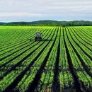 옛고구려 이미지