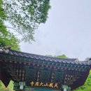 보성군립백민미술관 | 보성 사찰 여행지 코스 갈만한곳 | 천봉산 대원사 | 전남 가볼만한곳