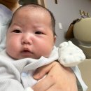신생아 때부터 2개월 동안 분유 갈아탄 후기(아이엠마더, 압타밀, 힙)