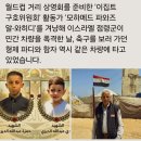 ........ 이미지