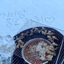 맘스주막 이미지