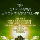 언제나,예쁘다 네이버블로그