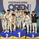 아우내실내체육관 이미지