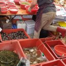 참새방앗간 이미지