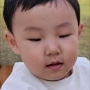 그림동화in호반어린이집 이미지